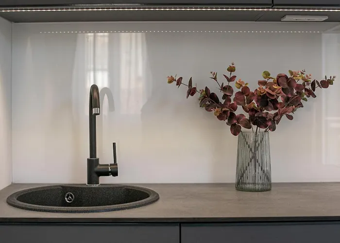 Deluxe Antonio 公寓 普拉