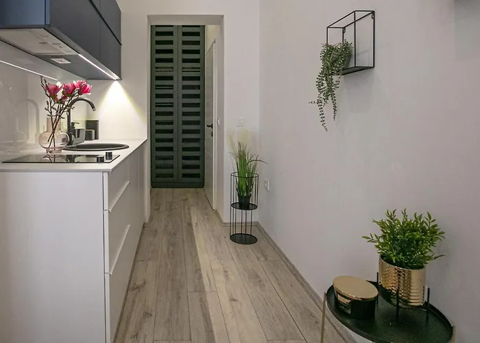 Deluxe Antonio 公寓 普拉